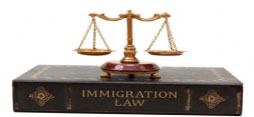 Immigration Law