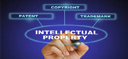Intellectual Property Law